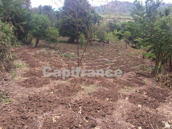 Terrain à bâtir de 1 500 m² à vendre Commune DEMBENI (976)