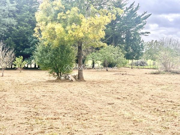 Dpt Charente Maritime (17), à vendre TERRAIN À BÂTIR 2446 ² dont 738 m ² à bâtir