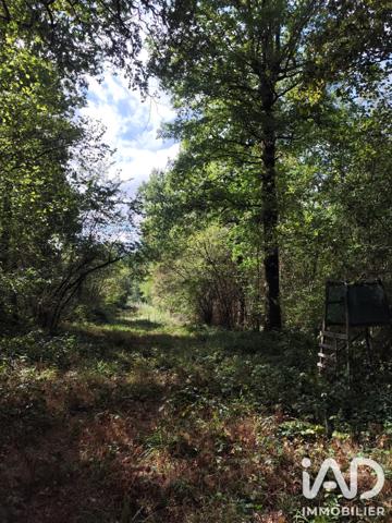 Terrain à vendre 383 800 m² Marles-en-Brie