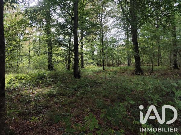Terrain à vendre 383 800 m² Marles-en-Brie