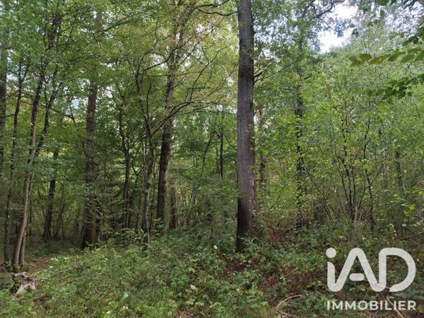 Terrain à vendre 383 800 m² Marles-en-Brie