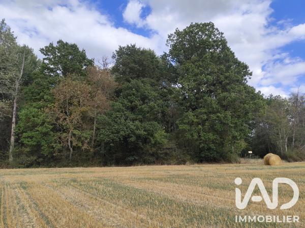 Terrain à vendre 383 800 m² Marles-en-Brie