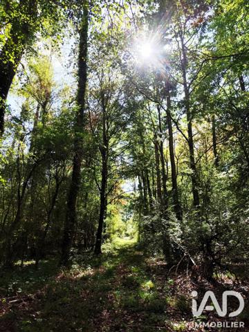 Terrain à vendre 383 800 m² Marles-en-Brie