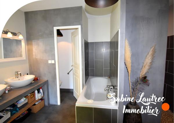 Albi (81000) Charmante maison en pierre, restaurée, au calme, sur près de 3 hectares 25 min d’Albi