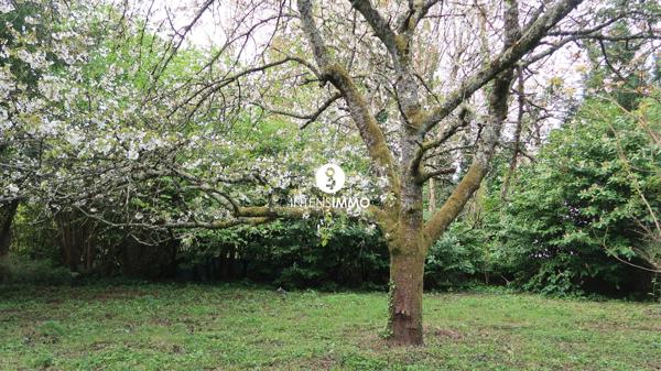 Maison 6 pièces - 160m² - Bruges 700 000 € f t