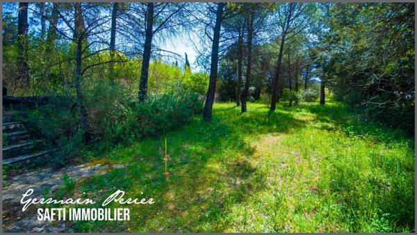Terrain plat + une restanque de 1200 m2 - environnement calme - emprise au sol possible de 230 m2 - piscinable
