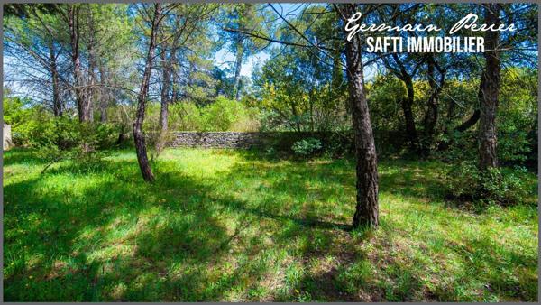 Terrain plat + une restanque de 1200 m2 - environnement calme - emprise au sol possible de 230 m2 - piscinable