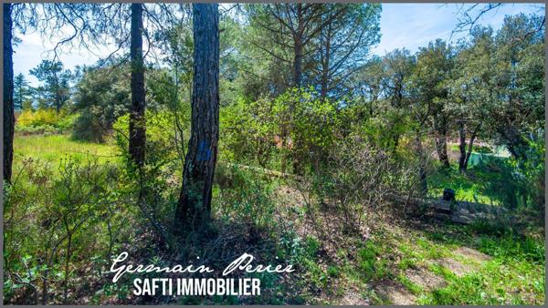 Terrain plat + une restanque de 1200 m2 - environnement calme - emprise au sol possible de 230 m2 - piscinable