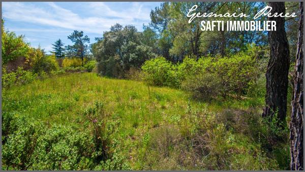 Terrain plat + une restanque de 1200 m2 - environnement calme - emprise au sol possible de 230 m2 - piscinable