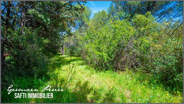 Terrain plat + une restanque de 1200 m2 - environnement calme - emprise au sol possible de 230 m2 - piscinable