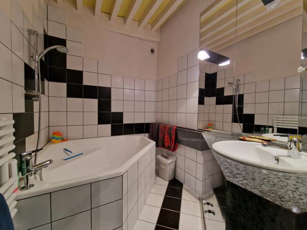 Dpt Loire (42), à vendre 30 min de MONTBRISON maison de 265 m²