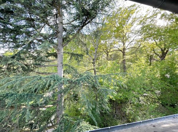 NOUVEAUTE VERSAILLES CHANTIERS - MEULIERE et JARDIN partagé - FAIBLES CHARGES - 3 PIECES avec VUE sur FORET -