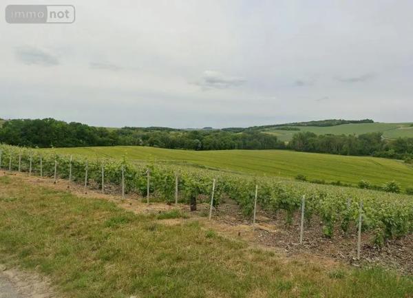 Achat - Terrain de loisirs, bois, étangs Passy-Grigny 51700 11771 m 2