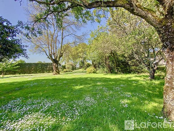 Achat maison Saint-Léger-sous-Cholet - 6 pièce(s) - 226 m² - 522 500 €