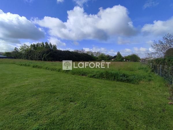 Achat terrain Castelsarrasin - 4387 m² - 139 500 €