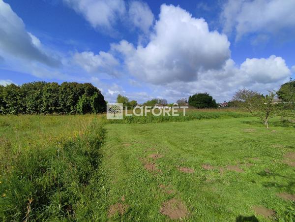 Achat terrain Castelsarrasin - 4387 m² - 139 500 €