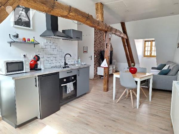 Immeuble rénové avec trois appartements Coeur d'Aubigny-Sur-Nère