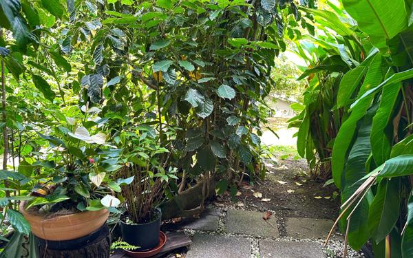 Appartement à vendre    3 pièces • 71 m2 Fort-de-France