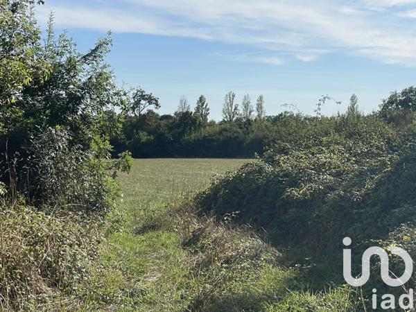 Maison à vendre 6 pièces 137 m² Chaunay