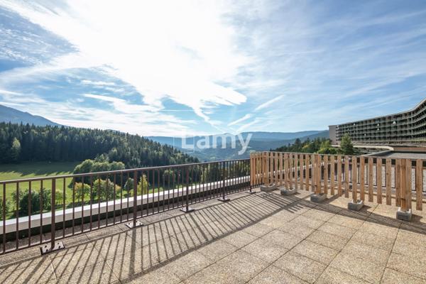 Local professionnel / commercial