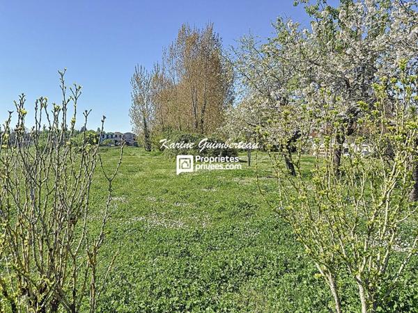 Maison La Lande De Fronsac - 4 chambres - garage - jardin