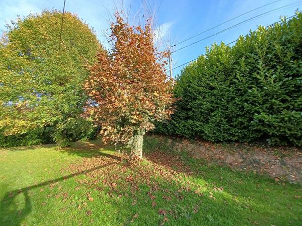 L'Aigle Maison  6 pièce(s) 115 m2 avec 5 chambres  // A SAISIR