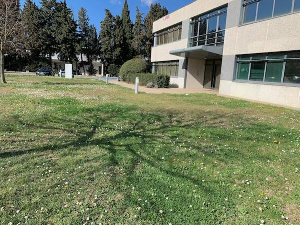 Bureaux à louer à Montfavet 365 m² avec parking privatif et fibre