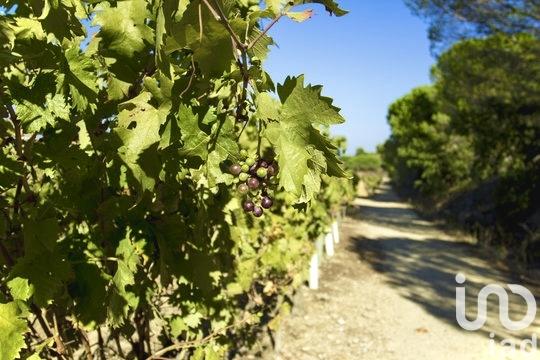 Maison à vendre 5 pièces 280 m² Saint-Tropez