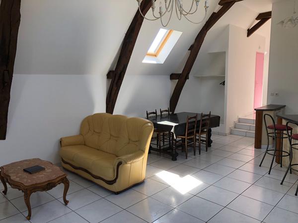 A LOUER BRISSARTHE Grand Appt T3 Meublé de 80 m2 avec vue sur la Sarthe