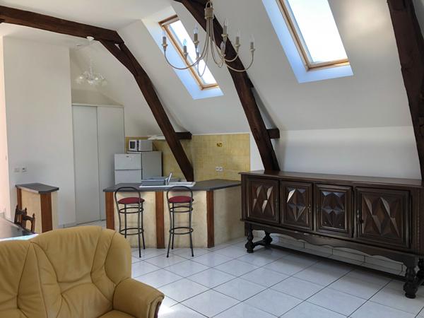 A LOUER BRISSARTHE Grand Appt T3 Meublé de 80 m2 avec vue sur la Sarthe