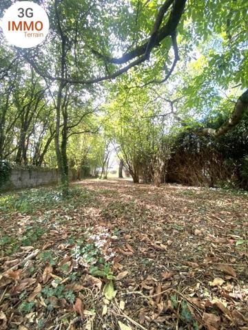 Vente / Terrain à Sermaize-les-Bains (51250)