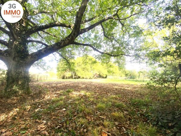 Vente / Terrain à Sermaize-les-Bains (51250)