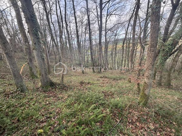 À ESSON, au cœur de la Suisse Normande, Marie Morand – Les Clés de la Suisse Normande par BSK Immobilier vous propose un bien qui ne ressemble pas vraiment aux autres : 24 810 m² de nature, de bois et de relief, rien qu’à vous.

Ici, pas de maison à rénover, pas de jardin parfaitement dessiné et pas de projet de construction.

Mais près de 2,5 hectares de terrain entièrement boisé, un petit morceau de Suisse Normande à posséder, à préserver et à regarder évoluer au fil des années.

La parcelle, située au lieu-dit Le Bois du Gland, est composée d’un boisement encore majoritairement jeune et présente le relief marqué si caractéristique de notre région.

Le terrain est en pente, parfois importante selon les secteurs. Il s’adresse donc à un acquéreur qui recherche avant tout un espace naturel, un patrimoine boisé ou tout simplement son propre coin de forêt.

CE QU’ON AIME ICI :

24 810 m², soit près de 2,5 hectares
Une parcelle entièrement boisée
Un environnement typique des coteaux de Suisse Normande
Un boisement jeune à laisser grandir et évoluer
Deux possibilités d’accès : par la partie basse pour un véhicule ou un engin, et par la partie haute à pied
Une situation à Esson, entre Thury-Harcourt et Caumont-sur-Orne
Un accès rapide à l’axe Caen–Flers
Un bien atypique pour celles et ceux qui préfèrent investir dans la terre et les arbres plutôt que dans les mètres carrés habitables

POUR QUEL PROJET ?

Un patrimoine forestier à conserver, un morceau de nature à transmettre, une parcelle boisée à entretenir et à accompagner dans le temps… ou simplement le plaisir assez rare de pouvoir dire :

« Ce bois-là, c’est le mien. »

À SAVOIR EN TOUTE TRANSPARENCE :

La parcelle est non constructible.

Son relief est marqué et certaines parties sont fortement pentues. Le boisement étant encore relativement jeune, il ne s’agit pas d’une forêt offrant aujourd’hui un rendement forestier immédiat important.

La proximité de l’axe routier facilite notamment l’accès à la partie basse du terrain, mais implique également la présence et le bruit de la circulation sur cette partie de la parcelle.

Ce terrain ne conviendra donc pas à tout le monde.

Et c’est justement ce qui fait son intérêt.

Il s’adresse à celui ou celle qui ne cherche ni un terrain à bâtir, ni une prairie parfaitement plate, mais un vrai morceau de nature en Suisse Normande, avec son relief, ses arbres et son caractère.

ESSON – 14220
Terrain boisé : 24 810 m²
Non constructible
18 000 € honoraires inclus

Pour davantage d’informations, obtenir le plan cadastral ou organiser une découverte du terrain, contactez-moi.

ORGANISATION DES VISITES

Pour la sécurité des vendeurs et la traçabilité des visites, une copie d’une pièce d’identité en cours de validité sera demandée à chaque visiteur majeur avant le rendez-vous.

Afin d’éviter une visite inutile pour vous comme pour les vendeurs, je vérifie également en amont la cohérence du projet et du mode de financement. Selon la situation, un accord de principe, une attestation de courtier ou un justificatif de fonds pourra être demandé.

Pour ce terrain en particulier, prévoyez des chaussures adaptées : certaines parties sont pentues et peuvent être difficiles d’accès selon les conditions météorologiques.

VOUS N’ARRIVEZ PAS À ME JOINDRE ?

Je suis très régulièrement en rendez-vous, en visite ou sur les routes de Suisse Normande, où le réseau téléphonique aime parfois nous rappeler que nous sommes à la campagne !

Si je ne réponds pas, laissez-moi simplement un SMS, un message WhatsApp, Messenger ou un e-mail, en précisant le bien qui vous intéresse. Je pourrai ainsi identifier immédiatement votre demande et vous rappeler personnellement dès que possible.

INTERCABINET : OUI, AVEC PLAISIR !

Confrères et consœurs de l’immobilier, je travaille volontiers en inter-cabinet si vous accompagnez un acquéreur susceptible de correspondre à ce bien.

Parce qu’au bout du compte, l’objectif reste le même : faire aboutir les projets de nos clients.

VOUS CONNAISSEZ QUELQU’UN QUI SOUHAITE VENDRE ?

Vous pouvez également me recommander simplement un vendeur via Mareco by BSK et être récompensé si votre recommandation aboutit à une vente, selon les conditions du programme.

Code Mareco : 574646

Marie Morand
Conseillère immobilière indépendante – BSK Immobilier
Les Clés de la Suisse Normande
L’immobilier dans nos Racines
07 86 48 19 70
m.morand@bskimmobilier.com