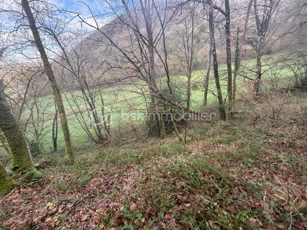 À ESSON, au cœur de la Suisse Normande, Marie Morand – Les Clés de la Suisse Normande par BSK Immobilier vous propose un bien qui ne ressemble pas vraiment aux autres : 24 810 m² de nature, de bois et de relief, rien qu’à vous.

Ici, pas de maison à rénover, pas de jardin parfaitement dessiné et pas de projet de construction.

Mais près de 2,5 hectares de terrain entièrement boisé, un petit morceau de Suisse Normande à posséder, à préserver et à regarder évoluer au fil des années.

La parcelle, située au lieu-dit Le Bois du Gland, est composée d’un boisement encore majoritairement jeune et présente le relief marqué si caractéristique de notre région.

Le terrain est en pente, parfois importante selon les secteurs. Il s’adresse donc à un acquéreur qui recherche avant tout un espace naturel, un patrimoine boisé ou tout simplement son propre coin de forêt.

CE QU’ON AIME ICI :

24 810 m², soit près de 2,5 hectares
Une parcelle entièrement boisée
Un environnement typique des coteaux de Suisse Normande
Un boisement jeune à laisser grandir et évoluer
Deux possibilités d’accès : par la partie basse pour un véhicule ou un engin, et par la partie haute à pied
Une situation à Esson, entre Thury-Harcourt et Caumont-sur-Orne
Un accès rapide à l’axe Caen–Flers
Un bien atypique pour celles et ceux qui préfèrent investir dans la terre et les arbres plutôt que dans les mètres carrés habitables

POUR QUEL PROJET ?

Un patrimoine forestier à conserver, un morceau de nature à transmettre, une parcelle boisée à entretenir et à accompagner dans le temps… ou simplement le plaisir assez rare de pouvoir dire :

« Ce bois-là, c’est le mien. »

À SAVOIR EN TOUTE TRANSPARENCE :

La parcelle est non constructible.

Son relief est marqué et certaines parties sont fortement pentues. Le boisement étant encore relativement jeune, il ne s’agit pas d’une forêt offrant aujourd’hui un rendement forestier immédiat important.

La proximité de l’axe routier facilite notamment l’accès à la partie basse du terrain, mais implique également la présence et le bruit de la circulation sur cette partie de la parcelle.

Ce terrain ne conviendra donc pas à tout le monde.

Et c’est justement ce qui fait son intérêt.

Il s’adresse à celui ou celle qui ne cherche ni un terrain à bâtir, ni une prairie parfaitement plate, mais un vrai morceau de nature en Suisse Normande, avec son relief, ses arbres et son caractère.

ESSON – 14220
Terrain boisé : 24 810 m²
Non constructible
18 000 € honoraires inclus

Pour davantage d’informations, obtenir le plan cadastral ou organiser une découverte du terrain, contactez-moi.

ORGANISATION DES VISITES

Pour la sécurité des vendeurs et la traçabilité des visites, une copie d’une pièce d’identité en cours de validité sera demandée à chaque visiteur majeur avant le rendez-vous.

Afin d’éviter une visite inutile pour vous comme pour les vendeurs, je vérifie également en amont la cohérence du projet et du mode de financement. Selon la situation, un accord de principe, une attestation de courtier ou un justificatif de fonds pourra être demandé.

Pour ce terrain en particulier, prévoyez des chaussures adaptées : certaines parties sont pentues et peuvent être difficiles d’accès selon les conditions météorologiques.

VOUS N’ARRIVEZ PAS À ME JOINDRE ?

Je suis très régulièrement en rendez-vous, en visite ou sur les routes de Suisse Normande, où le réseau téléphonique aime parfois nous rappeler que nous sommes à la campagne !

Si je ne réponds pas, laissez-moi simplement un SMS, un message WhatsApp, Messenger ou un e-mail, en précisant le bien qui vous intéresse. Je pourrai ainsi identifier immédiatement votre demande et vous rappeler personnellement dès que possible.

INTERCABINET : OUI, AVEC PLAISIR !

Confrères et consœurs de l’immobilier, je travaille volontiers en inter-cabinet si vous accompagnez un acquéreur susceptible de correspondre à ce bien.

Parce qu’au bout du compte, l’objectif reste le même : faire aboutir les projets de nos clients.

VOUS CONNAISSEZ QUELQU’UN QUI SOUHAITE VENDRE ?

Vous pouvez également me recommander simplement un vendeur via Mareco by BSK et être récompensé si votre recommandation aboutit à une vente, selon les conditions du programme.

Code Mareco : 574646

Marie Morand
Conseillère immobilière indépendante – BSK Immobilier
Les Clés de la Suisse Normande
L’immobilier dans nos Racines
07 86 48 19 70
m.morand@bskimmobilier.com