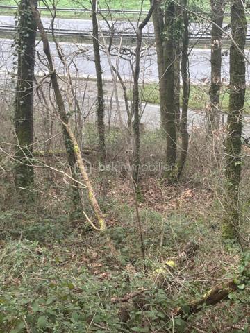 À ESSON, au cœur de la Suisse Normande, Marie Morand – Les Clés de la Suisse Normande par BSK Immobilier vous propose un bien qui ne ressemble pas vraiment aux autres : 24 810 m² de nature, de bois et de relief, rien qu’à vous.

Ici, pas de maison à rénover, pas de jardin parfaitement dessiné et pas de projet de construction.

Mais près de 2,5 hectares de terrain entièrement boisé, un petit morceau de Suisse Normande à posséder, à préserver et à regarder évoluer au fil des années.

La parcelle, située au lieu-dit Le Bois du Gland, est composée d’un boisement encore majoritairement jeune et présente le relief marqué si caractéristique de notre région.

Le terrain est en pente, parfois importante selon les secteurs. Il s’adresse donc à un acquéreur qui recherche avant tout un espace naturel, un patrimoine boisé ou tout simplement son propre coin de forêt.

CE QU’ON AIME ICI :

24 810 m², soit près de 2,5 hectares
Une parcelle entièrement boisée
Un environnement typique des coteaux de Suisse Normande
Un boisement jeune à laisser grandir et évoluer
Deux possibilités d’accès : par la partie basse pour un véhicule ou un engin, et par la partie haute à pied
Une situation à Esson, entre Thury-Harcourt et Caumont-sur-Orne
Un accès rapide à l’axe Caen–Flers
Un bien atypique pour celles et ceux qui préfèrent investir dans la terre et les arbres plutôt que dans les mètres carrés habitables

POUR QUEL PROJET ?

Un patrimoine forestier à conserver, un morceau de nature à transmettre, une parcelle boisée à entretenir et à accompagner dans le temps… ou simplement le plaisir assez rare de pouvoir dire :

« Ce bois-là, c’est le mien. »

À SAVOIR EN TOUTE TRANSPARENCE :

La parcelle est non constructible.

Son relief est marqué et certaines parties sont fortement pentues. Le boisement étant encore relativement jeune, il ne s’agit pas d’une forêt offrant aujourd’hui un rendement forestier immédiat important.

La proximité de l’axe routier facilite notamment l’accès à la partie basse du terrain, mais implique également la présence et le bruit de la circulation sur cette partie de la parcelle.

Ce terrain ne conviendra donc pas à tout le monde.

Et c’est justement ce qui fait son intérêt.

Il s’adresse à celui ou celle qui ne cherche ni un terrain à bâtir, ni une prairie parfaitement plate, mais un vrai morceau de nature en Suisse Normande, avec son relief, ses arbres et son caractère.

ESSON – 14220
Terrain boisé : 24 810 m²
Non constructible
18 000 € honoraires inclus

Pour davantage d’informations, obtenir le plan cadastral ou organiser une découverte du terrain, contactez-moi.

ORGANISATION DES VISITES

Pour la sécurité des vendeurs et la traçabilité des visites, une copie d’une pièce d’identité en cours de validité sera demandée à chaque visiteur majeur avant le rendez-vous.

Afin d’éviter une visite inutile pour vous comme pour les vendeurs, je vérifie également en amont la cohérence du projet et du mode de financement. Selon la situation, un accord de principe, une attestation de courtier ou un justificatif de fonds pourra être demandé.

Pour ce terrain en particulier, prévoyez des chaussures adaptées : certaines parties sont pentues et peuvent être difficiles d’accès selon les conditions météorologiques.

VOUS N’ARRIVEZ PAS À ME JOINDRE ?

Je suis très régulièrement en rendez-vous, en visite ou sur les routes de Suisse Normande, où le réseau téléphonique aime parfois nous rappeler que nous sommes à la campagne !

Si je ne réponds pas, laissez-moi simplement un SMS, un message WhatsApp, Messenger ou un e-mail, en précisant le bien qui vous intéresse. Je pourrai ainsi identifier immédiatement votre demande et vous rappeler personnellement dès que possible.

INTERCABINET : OUI, AVEC PLAISIR !

Confrères et consœurs de l’immobilier, je travaille volontiers en inter-cabinet si vous accompagnez un acquéreur susceptible de correspondre à ce bien.

Parce qu’au bout du compte, l’objectif reste le même : faire aboutir les projets de nos clients.

VOUS CONNAISSEZ QUELQU’UN QUI SOUHAITE VENDRE ?

Vous pouvez également me recommander simplement un vendeur via Mareco by BSK et être récompensé si votre recommandation aboutit à une vente, selon les conditions du programme.

Code Mareco : 574646

Marie Morand
Conseillère immobilière indépendante – BSK Immobilier
Les Clés de la Suisse Normande
L’immobilier dans nos Racines
07 86 48 19 70
m.morand@bskimmobilier.com