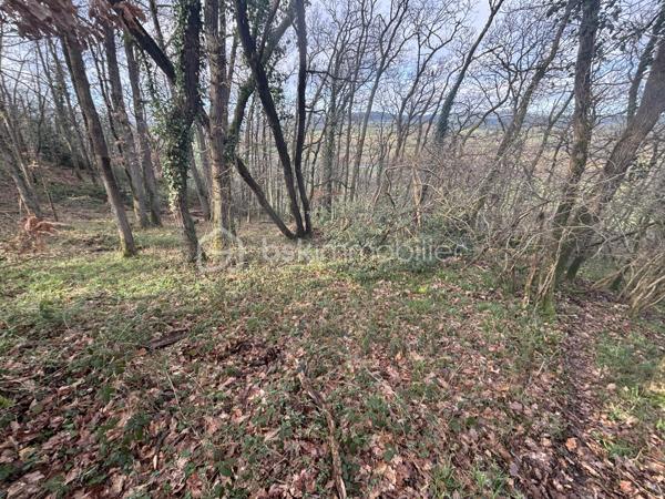 À ESSON, au cœur de la Suisse Normande, Marie Morand – Les Clés de la Suisse Normande par BSK Immobilier vous propose un bien qui ne ressemble pas vraiment aux autres : 24 810 m² de nature, de bois et de relief, rien qu’à vous.

Ici, pas de maison à rénover, pas de jardin parfaitement dessiné et pas de projet de construction.

Mais près de 2,5 hectares de terrain entièrement boisé, un petit morceau de Suisse Normande à posséder, à préserver et à regarder évoluer au fil des années.

La parcelle, située au lieu-dit Le Bois du Gland, est composée d’un boisement encore majoritairement jeune et présente le relief marqué si caractéristique de notre région.

Le terrain est en pente, parfois importante selon les secteurs. Il s’adresse donc à un acquéreur qui recherche avant tout un espace naturel, un patrimoine boisé ou tout simplement son propre coin de forêt.

CE QU’ON AIME ICI :

24 810 m², soit près de 2,5 hectares
Une parcelle entièrement boisée
Un environnement typique des coteaux de Suisse Normande
Un boisement jeune à laisser grandir et évoluer
Deux possibilités d’accès : par la partie basse pour un véhicule ou un engin, et par la partie haute à pied
Une situation à Esson, entre Thury-Harcourt et Caumont-sur-Orne
Un accès rapide à l’axe Caen–Flers
Un bien atypique pour celles et ceux qui préfèrent investir dans la terre et les arbres plutôt que dans les mètres carrés habitables

POUR QUEL PROJET ?

Un patrimoine forestier à conserver, un morceau de nature à transmettre, une parcelle boisée à entretenir et à accompagner dans le temps… ou simplement le plaisir assez rare de pouvoir dire :

« Ce bois-là, c’est le mien. »

À SAVOIR EN TOUTE TRANSPARENCE :

La parcelle est non constructible.

Son relief est marqué et certaines parties sont fortement pentues. Le boisement étant encore relativement jeune, il ne s’agit pas d’une forêt offrant aujourd’hui un rendement forestier immédiat important.

La proximité de l’axe routier facilite notamment l’accès à la partie basse du terrain, mais implique également la présence et le bruit de la circulation sur cette partie de la parcelle.

Ce terrain ne conviendra donc pas à tout le monde.

Et c’est justement ce qui fait son intérêt.

Il s’adresse à celui ou celle qui ne cherche ni un terrain à bâtir, ni une prairie parfaitement plate, mais un vrai morceau de nature en Suisse Normande, avec son relief, ses arbres et son caractère.

ESSON – 14220
Terrain boisé : 24 810 m²
Non constructible
18 000 € honoraires inclus

Pour davantage d’informations, obtenir le plan cadastral ou organiser une découverte du terrain, contactez-moi.

ORGANISATION DES VISITES

Pour la sécurité des vendeurs et la traçabilité des visites, une copie d’une pièce d’identité en cours de validité sera demandée à chaque visiteur majeur avant le rendez-vous.

Afin d’éviter une visite inutile pour vous comme pour les vendeurs, je vérifie également en amont la cohérence du projet et du mode de financement. Selon la situation, un accord de principe, une attestation de courtier ou un justificatif de fonds pourra être demandé.

Pour ce terrain en particulier, prévoyez des chaussures adaptées : certaines parties sont pentues et peuvent être difficiles d’accès selon les conditions météorologiques.

VOUS N’ARRIVEZ PAS À ME JOINDRE ?

Je suis très régulièrement en rendez-vous, en visite ou sur les routes de Suisse Normande, où le réseau téléphonique aime parfois nous rappeler que nous sommes à la campagne !

Si je ne réponds pas, laissez-moi simplement un SMS, un message WhatsApp, Messenger ou un e-mail, en précisant le bien qui vous intéresse. Je pourrai ainsi identifier immédiatement votre demande et vous rappeler personnellement dès que possible.

INTERCABINET : OUI, AVEC PLAISIR !

Confrères et consœurs de l’immobilier, je travaille volontiers en inter-cabinet si vous accompagnez un acquéreur susceptible de correspondre à ce bien.

Parce qu’au bout du compte, l’objectif reste le même : faire aboutir les projets de nos clients.

VOUS CONNAISSEZ QUELQU’UN QUI SOUHAITE VENDRE ?

Vous pouvez également me recommander simplement un vendeur via Mareco by BSK et être récompensé si votre recommandation aboutit à une vente, selon les conditions du programme.

Code Mareco : 574646

Marie Morand
Conseillère immobilière indépendante – BSK Immobilier
Les Clés de la Suisse Normande
L’immobilier dans nos Racines
07 86 48 19 70
m.morand@bskimmobilier.com