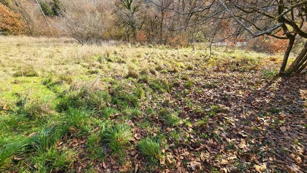 Maison individuelle au calme avec énorme vue sur les Alpes !