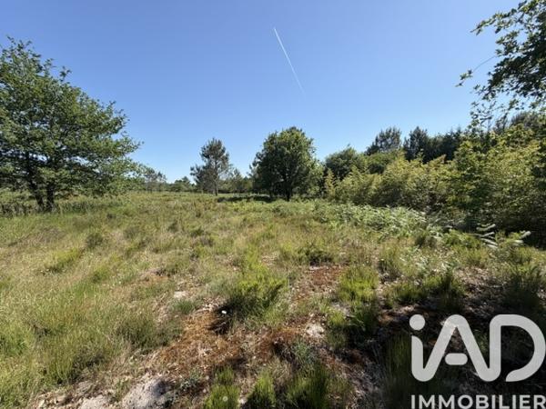 Terrain à vendre 30 000 m² Gujan-Mestras