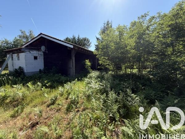 Terrain à vendre 30 000 m² Gujan-Mestras