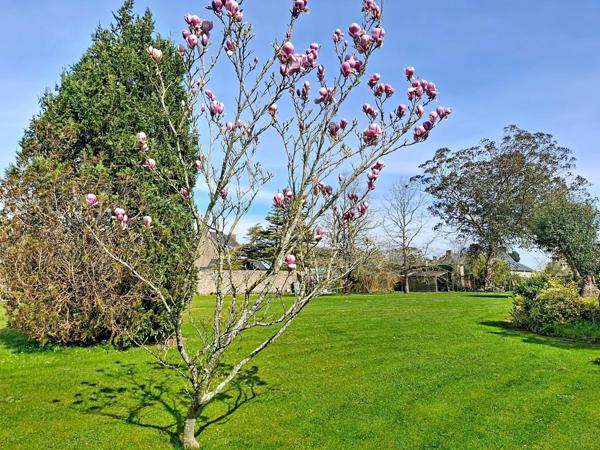 Terrain constructible, havre de paix, centre bourg