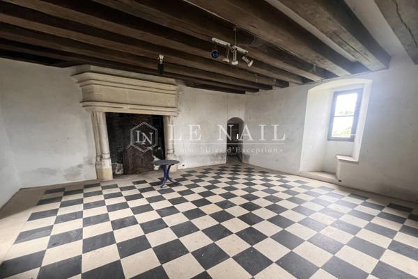Magnifique château XVIe et XVIIIe avec son donjon du XIIIe au Sud de la Touraine