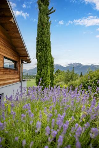 Vente Maison de luxe Saint-Jorioz 6 Pièces 196 m²