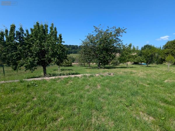 Terrain à Batir à vendre à Francheval dans les Ardennes (08140), ref : 045/1009