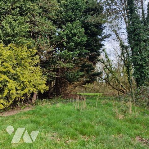A vendre, pavillon des années 70 à rénover sur une terrain de 2 hectares comprenant une mare, u...