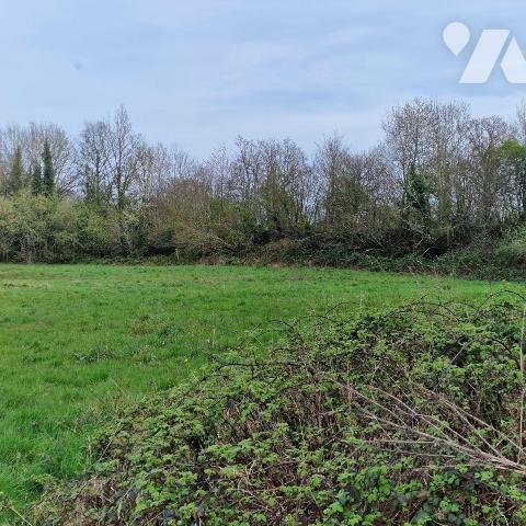 A vendre, pavillon des années 70 à rénover sur une terrain de 2 hectares comprenant une mare, u...