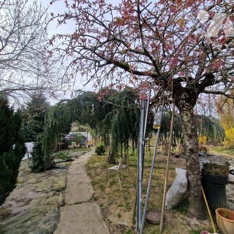 A vendre, pavillon des années 70 à rénover sur une terrain de 2 hectares comprenant une mare, u...