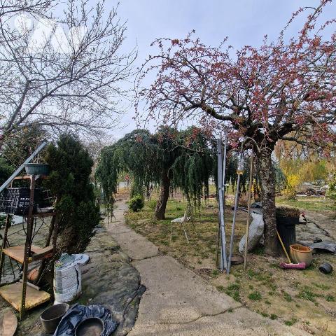 A vendre, pavillon des années 70 à rénover sur une terrain de 2 hectares comprenant une mare, u...