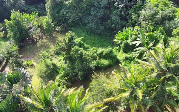 Maison à vendre    4 pièces •  Rivière-Salée