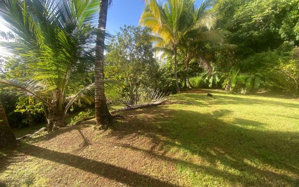 Maison à vendre    4 pièces •  Rivière-Salée