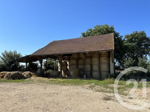 Maison à vendre  6 pièces - 132 m2 SURY ES BOIS - 18